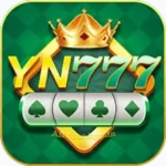 YN 777